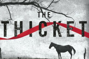 The Thicket - Bounty Hunter Drama